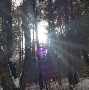 Meet your Posher, Edith